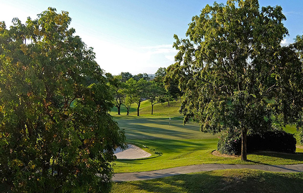 trees, phoenix gold golf country club, pattaya, thailand